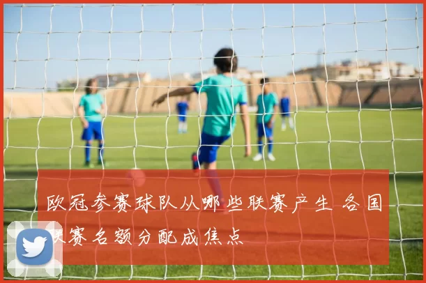 欧冠参赛球队从哪些联赛产生 各国联赛名额分配成焦点