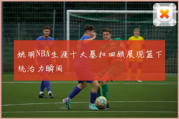 姚明NBA生涯十大暴扣回顾展现篮下统治力瞬间