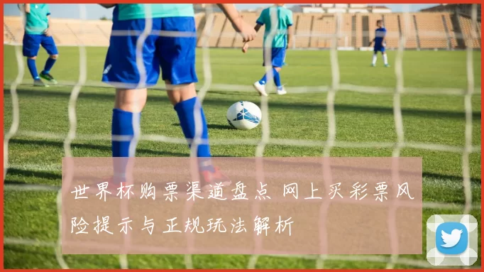 世界杯购票渠道盘点 网上买彩票风险提示与正规玩法解析
