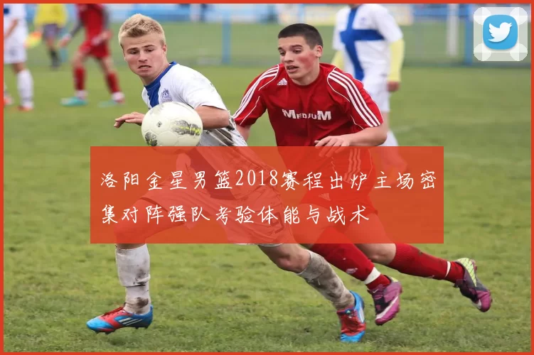 洛阳金星男篮2018赛程出炉主场密集对阵强队考验体能与战术